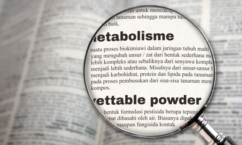 Istilah-istilah Umum dalam Dunia Pertanian