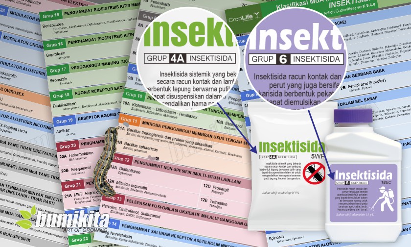 Pahami MoA Insektisida untuk Mencegah Resistensi Hama