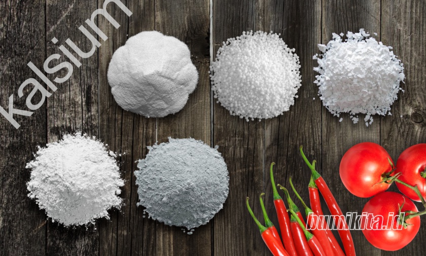 Mengenal Jenis-jenis Pupuk Kalsium, Mana yang Cocok?